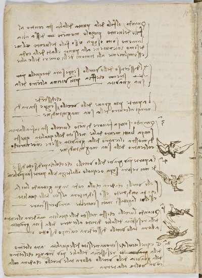 Código sobre el vuelo de los pájaros, c. 1505-06, manuscrito en papel, cc. 18, hoja 7 verso de Leonardo da Vinci